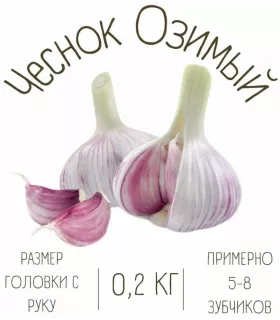 Чеснок Озимый Юбилейный Грибовский 200гр