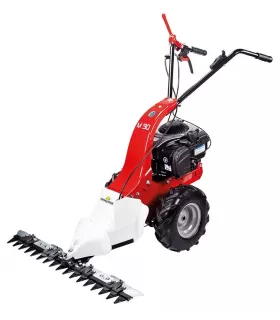 Сенокосилки EUROSYSTEMS M90 B&S 450E Series