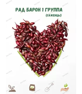 "Красный Барон" Лук-севок